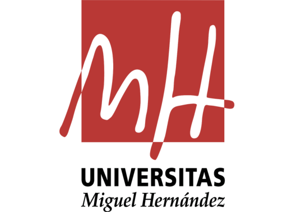 Universidad Miguel Hernández Elche